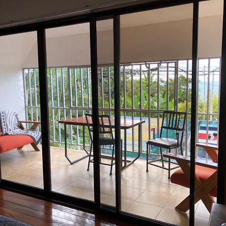 Cockatoo Studio Apartments Manuel Antonio Extérieur photo