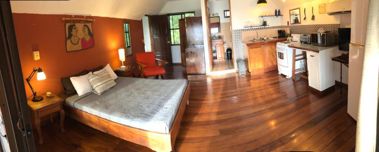 Cockatoo Studio Apartments Manuel Antonio Extérieur photo